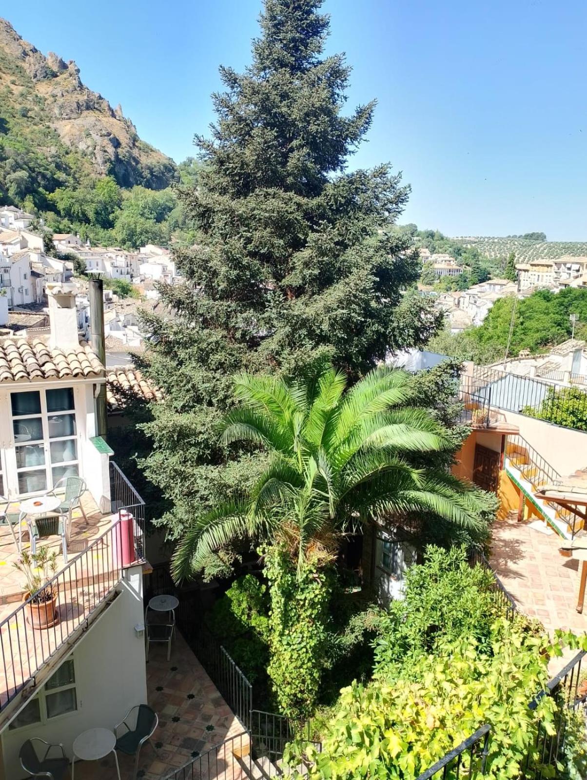 Casa Rural Plaza De Santa Maria 卡索拉 外观 照片