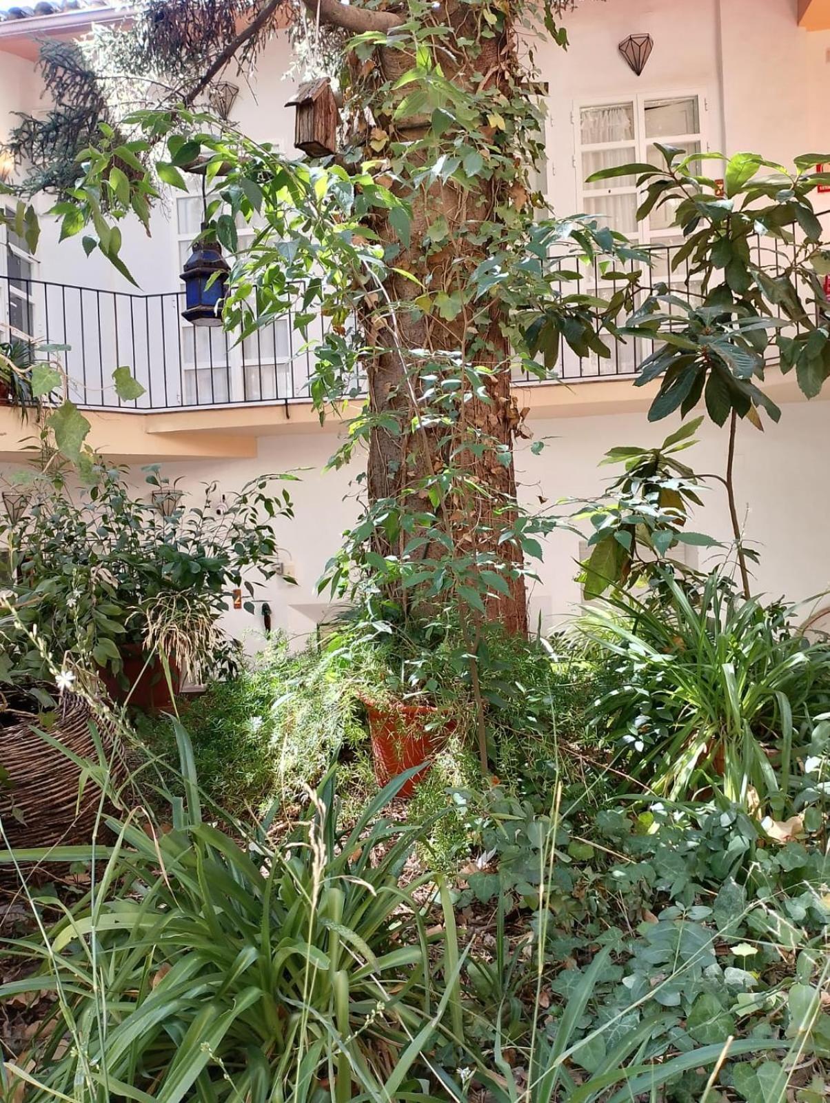 Casa Rural Plaza De Santa Maria 卡索拉 外观 照片
