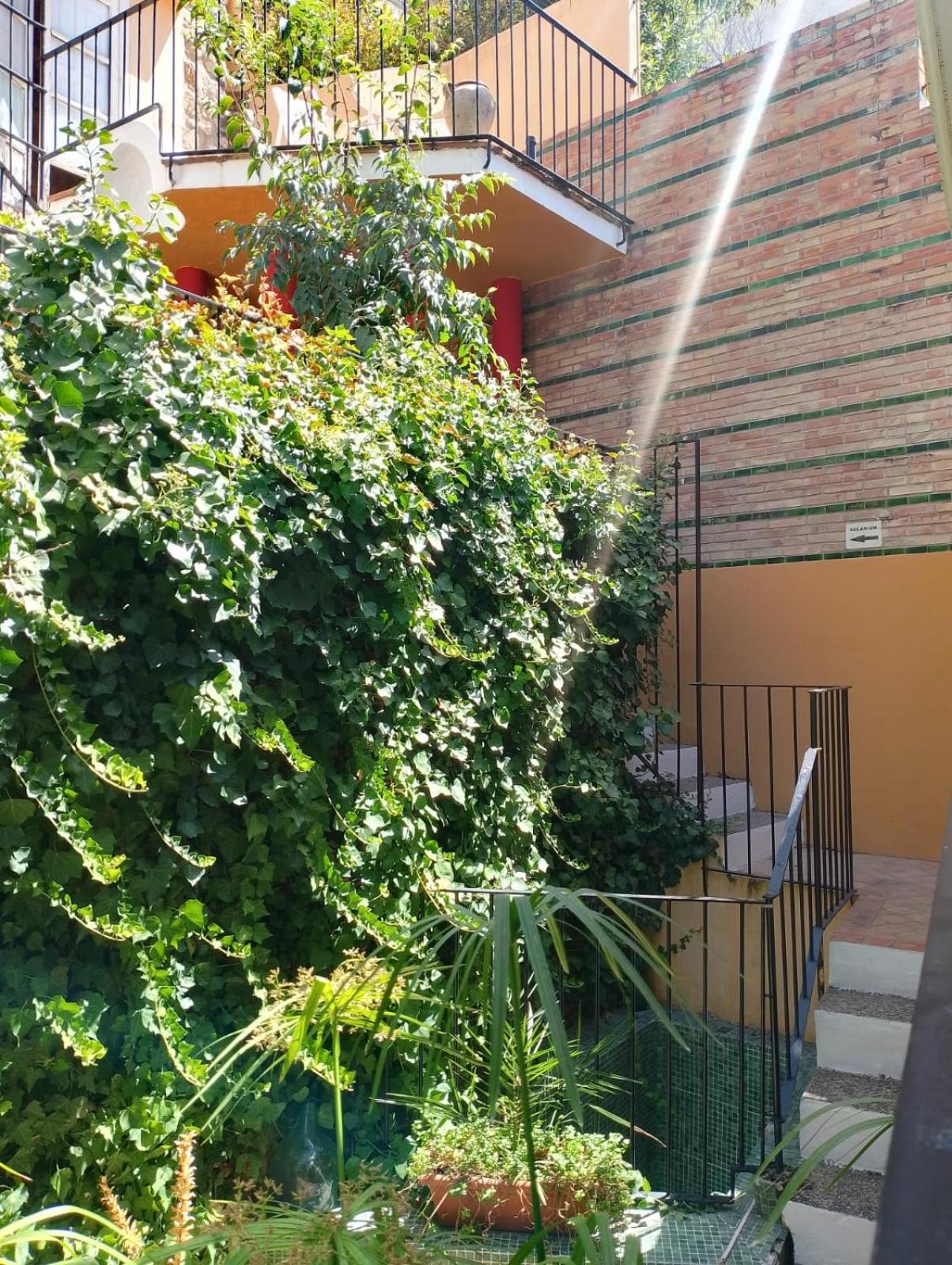 Casa Rural Plaza De Santa Maria 卡索拉 外观 照片
